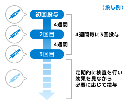 治療のスケジュール